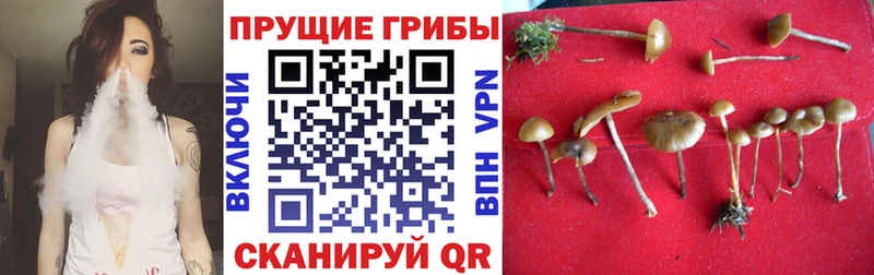 hydra   дарк нет как зайти  Псилоцибиновые грибы мухоморы  наркошоп  Красково 