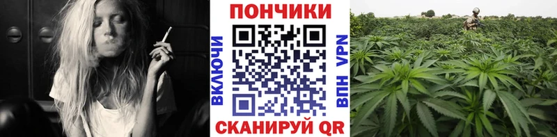 Конопля AK-47  Красково 